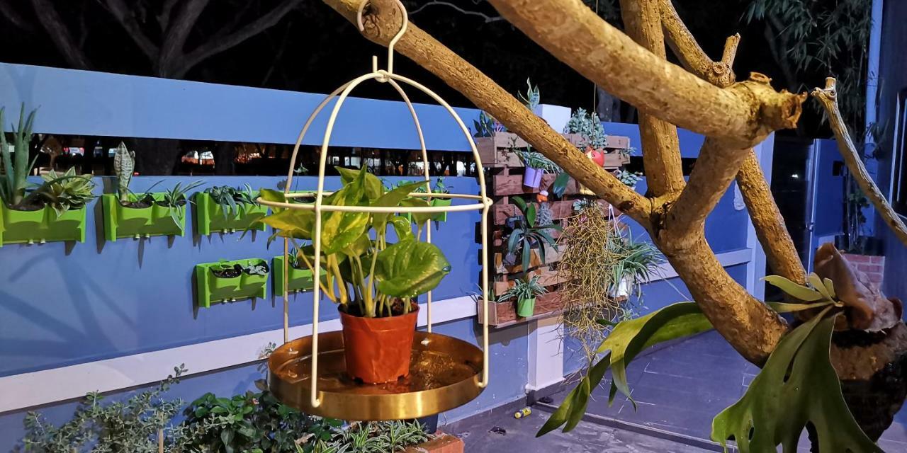 Oneriimba Private Pool & Garden Residence Johor Bahru Exteriör bild